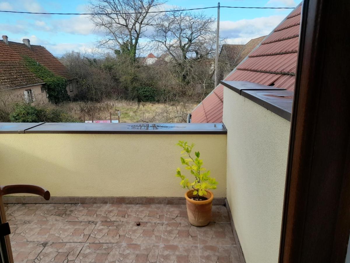 Appart 4 Pers Refait Neuf 90M2 Avec Balcon 巴尔德内姆 外观 照片